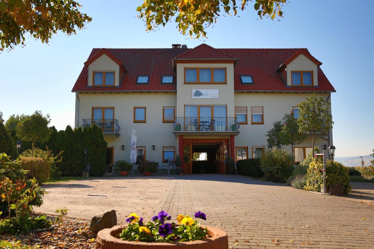 Fetzers Landhotel Ingelheim am Rhein Exterior foto